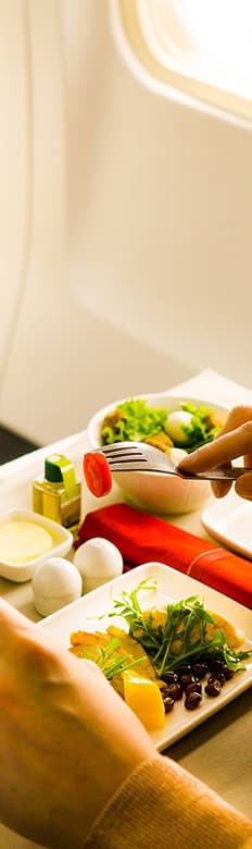 In-Flight Catering Services